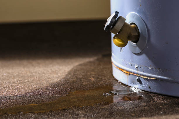Best Water damage restoration near me  in Patterson, LA