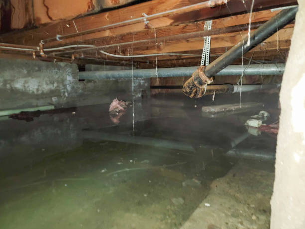 Carpet water damage restoration in LA