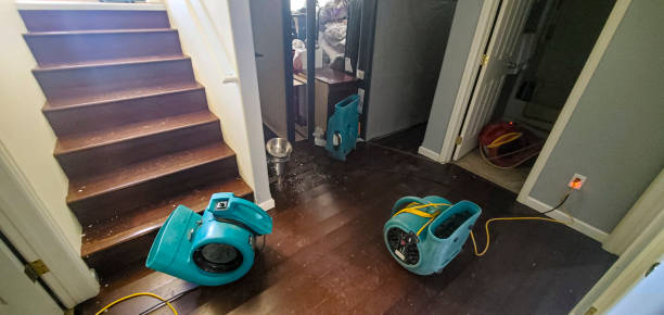 Best Carpet water damage restoration  in Patterson, LA