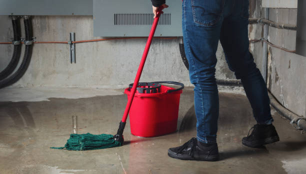 Best Flood damage cleanup  in Patterson, LA