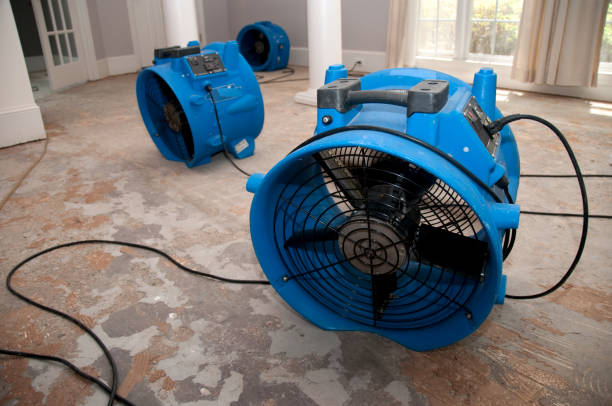 Best Water damage restoration insurance claims  in Patterson, LA