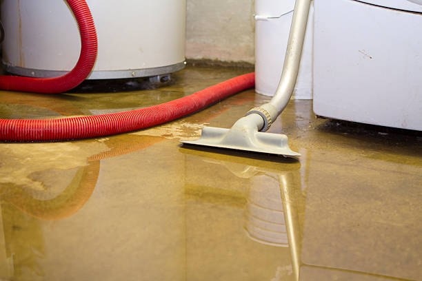 Best Local water damage restoration  in Patterson, LA