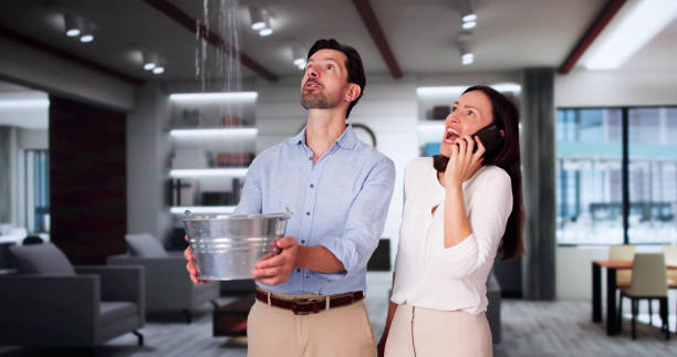 Best Water damage cleanup near me  in Patterson, LA